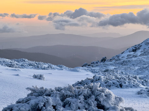 View of snow-dusted shrubs and distant mountain silhouettes meet a serene sunset sky in a cold, quiet landscape, Covilha, Distrito da Guarda, Portugal.