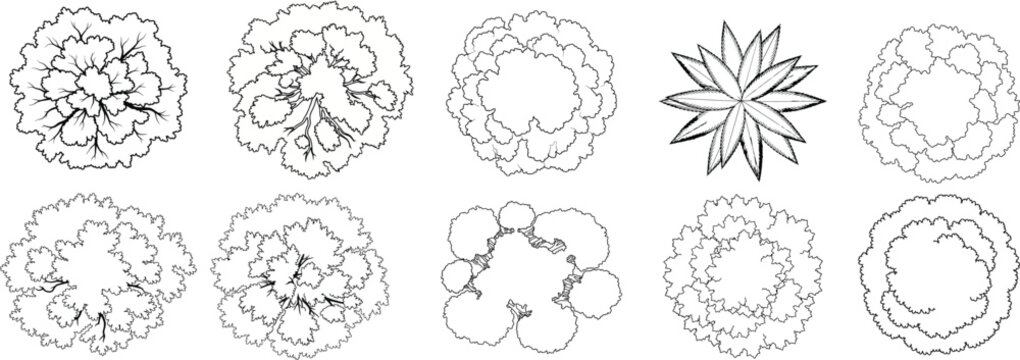 Collection of diverse hand drawn tree top view vector icons for professional landscape architectural design
