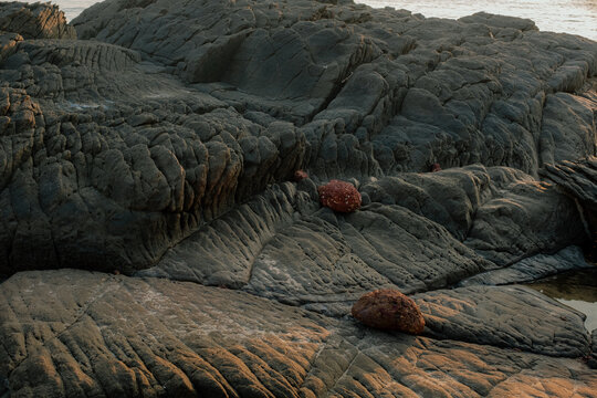 View of rugged, textured rocks under a warm light, contrasting with the smooth red stones nestled within their crevices, Chiplun, Maharashtra, India.