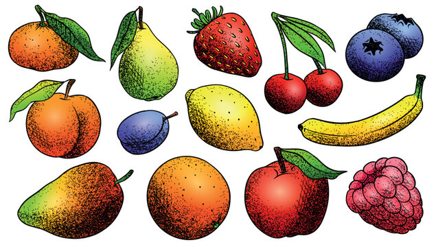 Fresh fruits drawing in dot work style. Colourful illustration for modern usage. Mango and strawberry berries and plum, bananas and other.