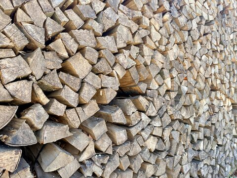 Holzstapel im Wald - Brennholz