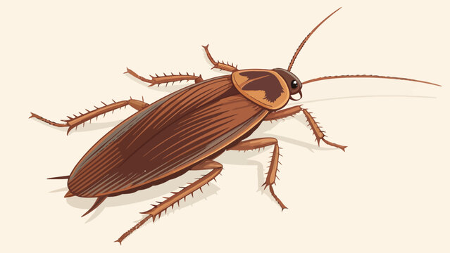 A detailed illustration of a brown cockroach on a plain background