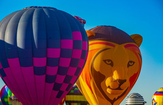 Albuquerque, United States - 09 October 2017: View of vibrant hot air balloons, one adorned with a lion's face, rising against a brilliant blue sky.