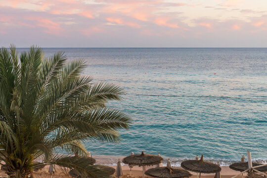 Beautiful sunset over the Red Sea in Sharm El Sheikh Egypt with palm tree and straw umbrellas on sandy beach