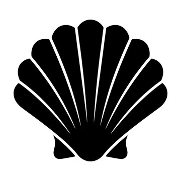 Vector seashell illustration of a scallop shell marine life ocean animal graphic design element icon clip art