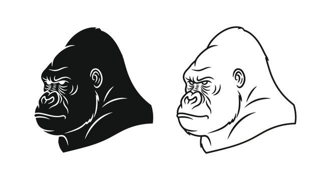 Gorilla head vector illustration, black silhouette and line art ape mascot, powerful silverback primate profile for sports team logo or gym branding