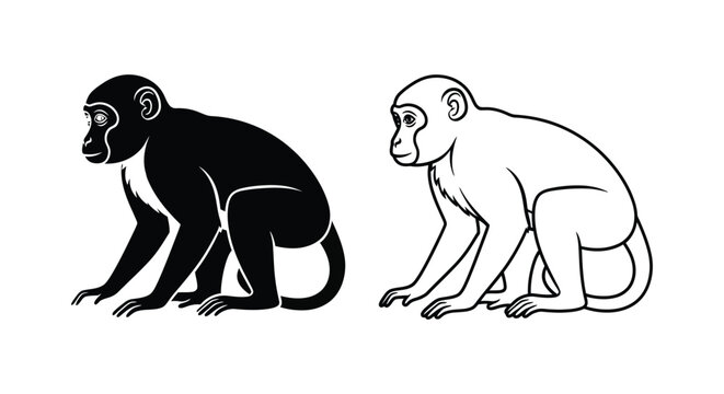 Minimalist monkey vector silhouette and line art, black and white primate illustration set, sitting macaque monkey icons for logo design