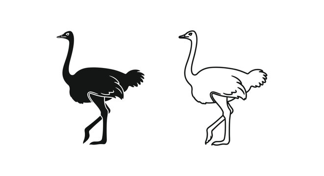 Minimalist ostrich vector icons, black silhouette and outline ostrich bird illustrations, wild African animal graphics for logo design