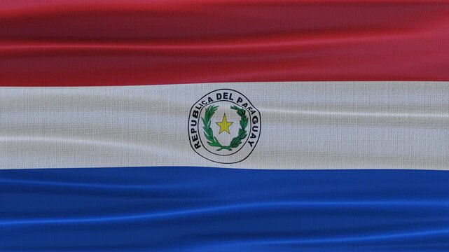 Paraguay flag waving in the wind with high quality fabric texture
