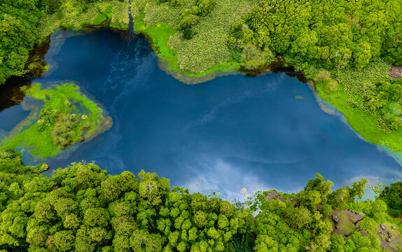 Aerial view of a serene, dark blue lake embraced by vibrant green vegetation, creating a striking contrast of color and texture, Flores, Azores, Portugal.