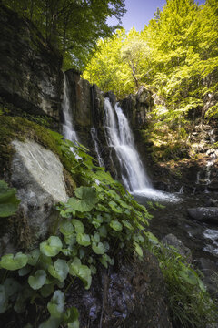 View of cascading waterfalls tumble down mossy rocks, framed by vibrant green foliage under a bright sky in Lizzano In Belvedere, Emilia-Romagna, Italy.