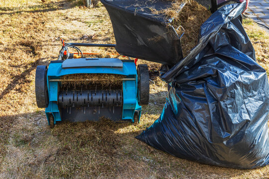 Close up view of lawn dethatcher machine and person emptying dry grass into bag during yard maintenance. Sweden.
