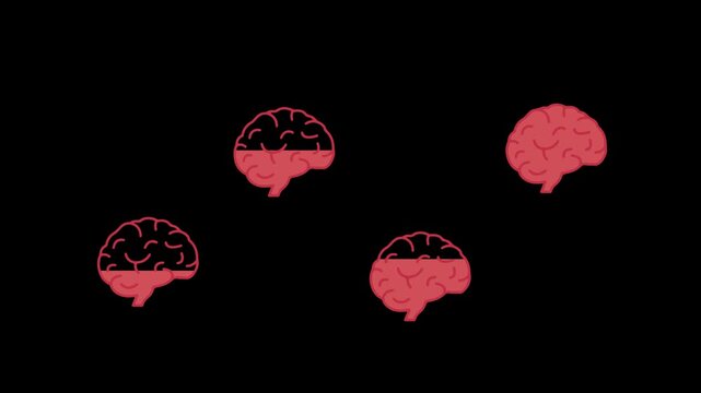 Brain sections in red on black.