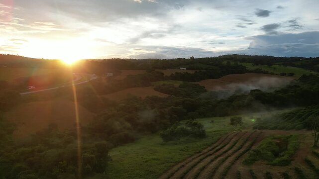 Cafezal em Minas Gerais Por do Sol Montanhas Cafes