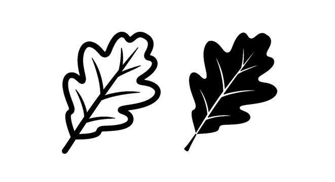 Vector illustration of oak leaf icon set, outline and silhouette style vector illustration on a transparent background