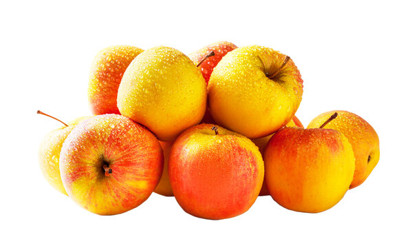 Pile of fresh, ripe yellow and red apples with water drops isolated on a transparent background. Healthy, juicy, and sweet organic fruits.Elstar variety. High quality photo