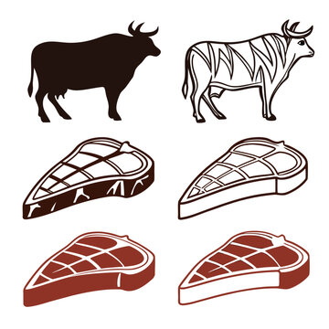 Cow and various steak cuts vector illustration educational meat chart