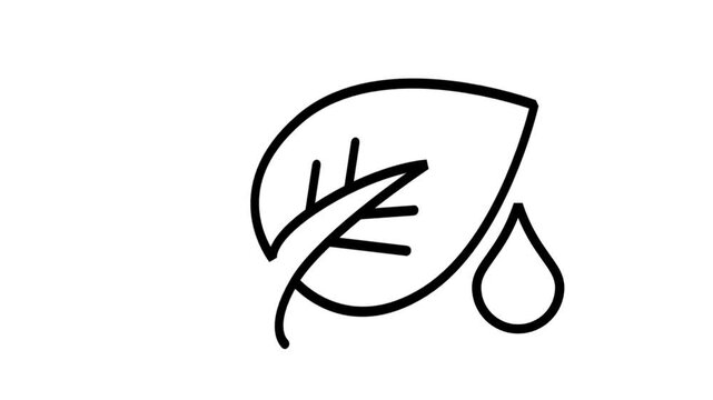 Natural Herbal Medicine Line Motion Icon. Animated leaf and drop icon representing herbal medicine, natural healthcare remedies, and organic wellness therapy.