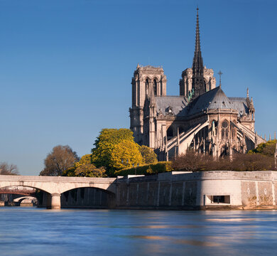 Notre-Dame Cathedral on &Icirc;le de la Cit&eacute; with Seine river and spring foliage