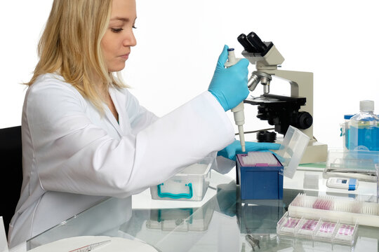 Woman using micropipette at microscope with multiwell plates and gloves