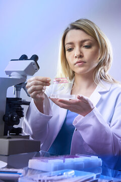 Woman examines microtiter plate while operating compound microscope in laboratory