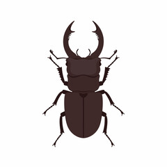 Fototapeta premium Minimalist dark brown stag beetle icon vector illustration, depicting a robust insect with large, distinctive mandibles, perfect for nature and wildlife-themed graphic designs