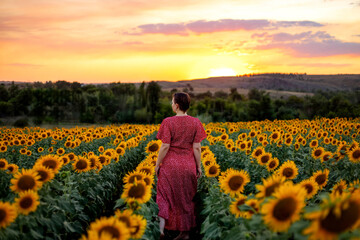Fototapeta premium The girl among the sunflowers