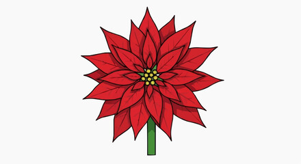 Fototapeta premium A beautiful Poinsettia plant with red petals in full bloom. The leaves are a vibrant red color, and the flower is in full bloom. The plant is a symbol of Christmas