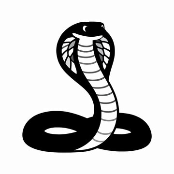 Minimalist flat vector silhouette of a single venomous cobra snake in a striking pose, black isolated serpent graphic, wildlife concept for nature and animal design on white background.