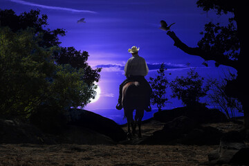 Midnight cowboy traveling by horseback at night. Includes a dark blue background with the moon glowing behind the brush and several bird flying.
