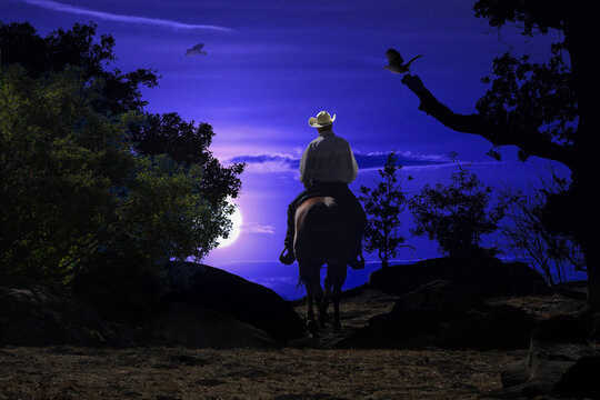 Midnight cowboy traveling by horseback at night.   Includes a dark blue background with the moon glowing behind the brush and several bird flying.