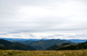 Fototapeta premium Tranquil mountain valley with dense conifer forests, rolling meadows and distant blue ridges beneath an overcast sky, evoking solitude, nature and autumnal landscape beauty. Carpathian Mountains