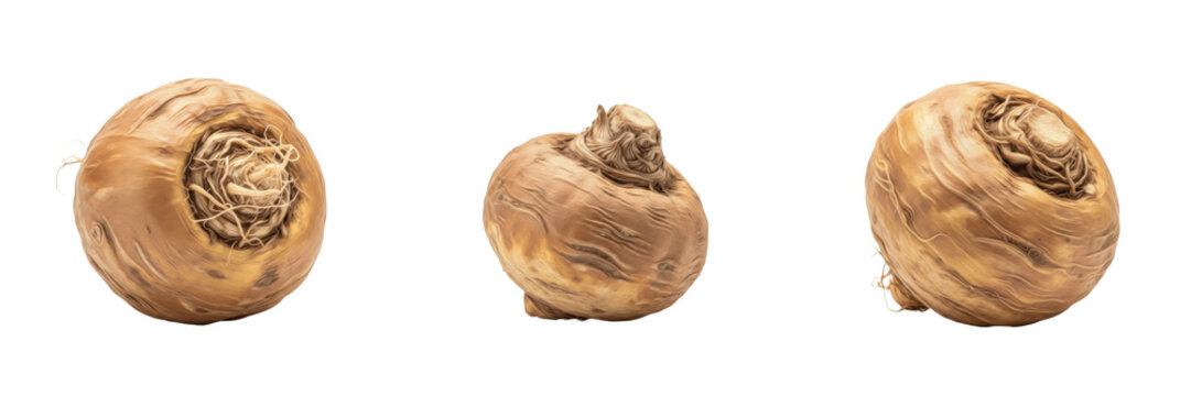 Maca whole root (Lepidium meyenii) - Maca - Maca - Organic Herbal Root for Wellness, Traditional Medicine, and Healthy Culinary Ingredients - SEO Optimized Natural Plant Background