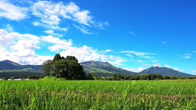 雄大な阿蘇五岳とのどかな田園風景
「日本の原風景が残る場所、穏やかな初夏の水田と青い空」
南阿蘇村～高森町(県道28号線)
The majestic Aso Five Peaks and tranquil rural landscapes