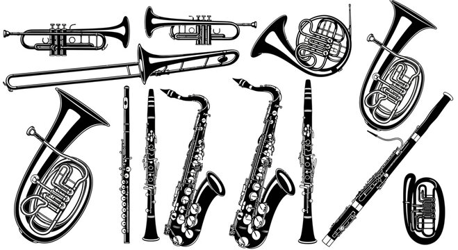 Collection of Black and White Brass and Woodwind Musical Instruments