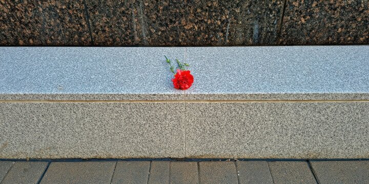 A single red carnation rests on a granite surface, juxtaposed with a darker textured backdrop