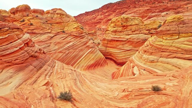 Curved Sandstone Lines inside The Wave in Coyote Buttes North Arizona