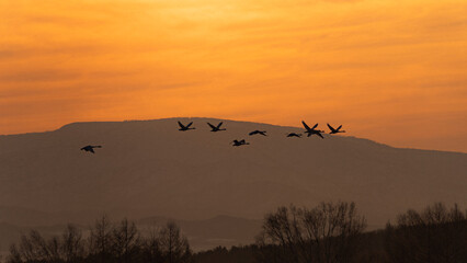 Naklejka premium sunset in the mountains