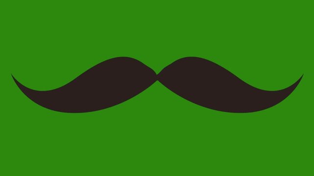 mustache vector illustration