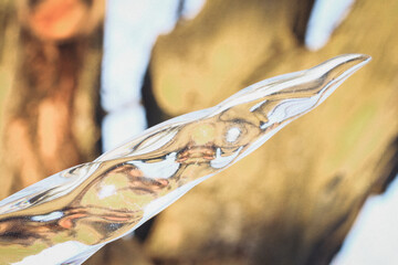 Narwal Tusk © Archival Stone Stock