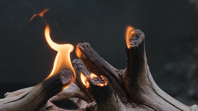 Smoldering driftwood igniting at tips elegant slow flare oceanic charcoal cinematic fire macro scene
