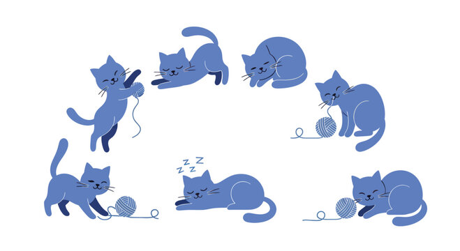 Adorable Blue Kittens Playing with Yarn in Various Poses.