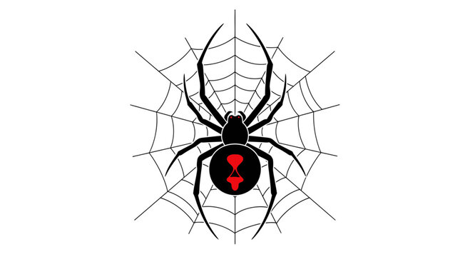 Black widow spider on a white background with web and close-up scary details