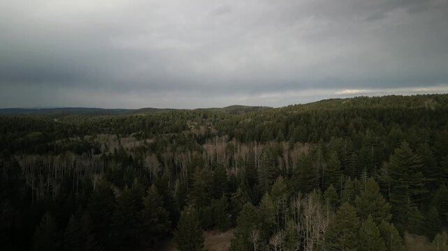 Aerial over Lincoln National Forest Cloudcroft New Mexico stormy skies