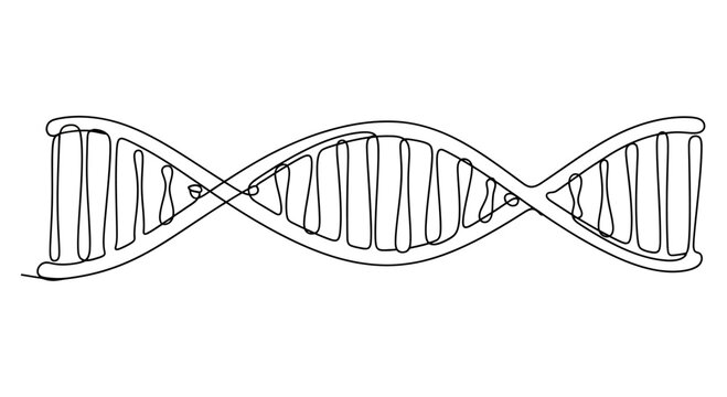 A black and white line drawing depicts a simplified double helix structure