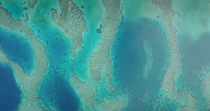 Fiji islands' vibrant coral reef ecosystem beneath crystal clear turquoise ocean water, highlighting a serene tropical paradise. Natural background pattern. Aerial view drone top down shot
