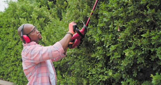 African American man lifting red hedge trimmer with earmuffs and gloves, shaping hedge, copy space