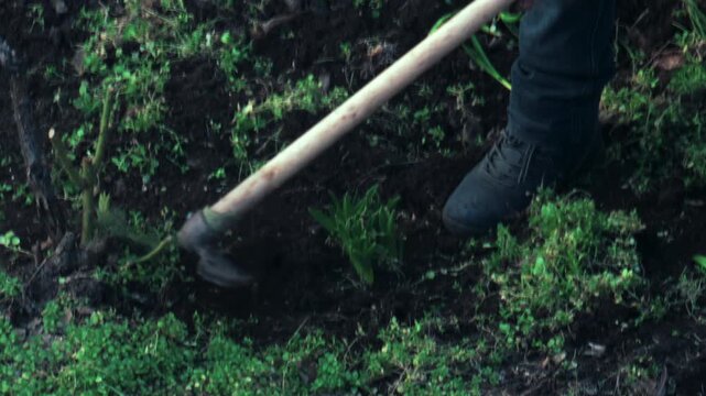 Close up of a person cutting grass with a hoe in a garden