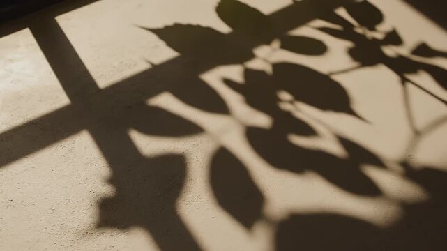 Shadows of leaves and a geometric pattern cast by sunlight on a textured surface, creating an abstract visual play of light and dark