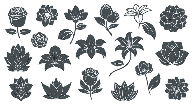 Collection of various flower illustrations.